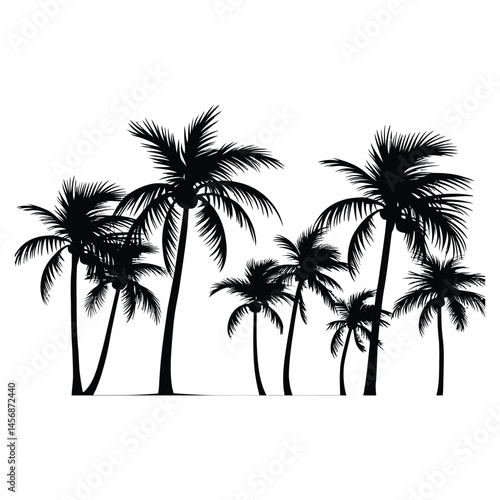 Silhouettes of three tropical palm trees against a white background