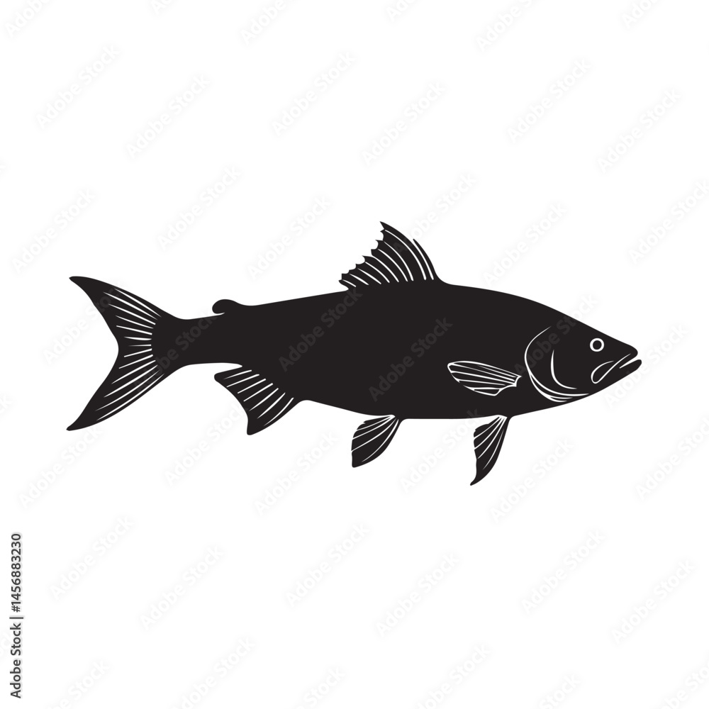White Background Seabass Fish Silhouette White Background Seabass Fish Silhouette