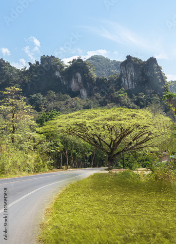 Road to Khao sok Park - Beautiful mountains, rainforest and a large tree with spreading leaves. Beautiful scenery of a popular tourist destination in Thailand samanea, saman,