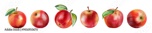 Vintage apple set. Watercolor red fruit sketch, juicy green leaf or leaves texture, graphic food or juice. Realistic whole food different side view. Autumn harvest. Vector isolated background