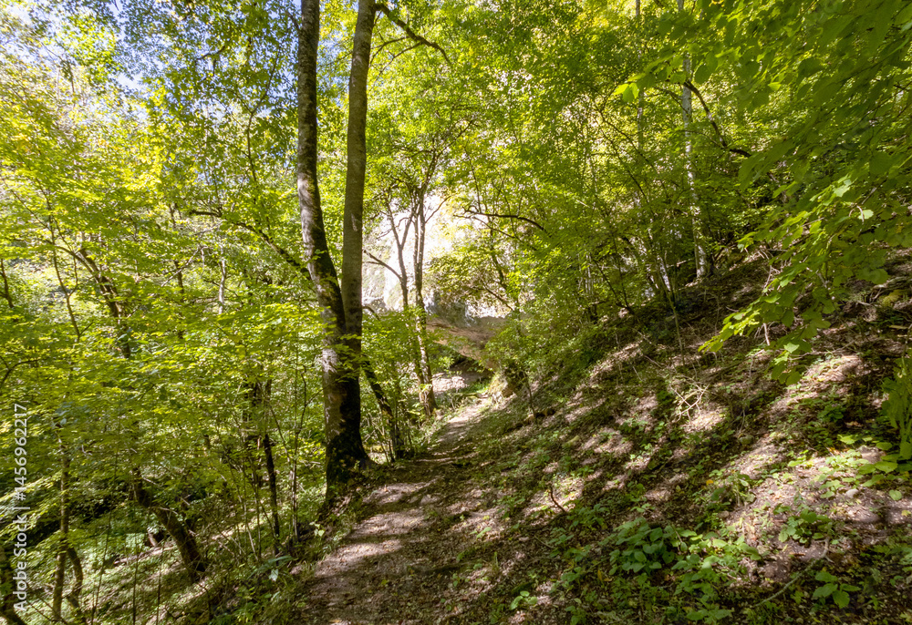 Obraz premium the source of the river in the wild, a walk along the riverbed with an overview of the canyon of the river and the shallow riverbed
