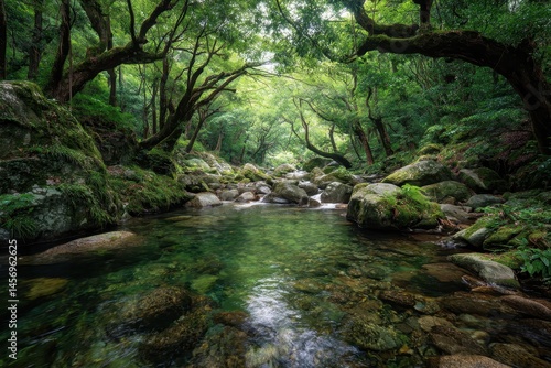 Serene Forest Stream Flowing Through Lush Green Landscape