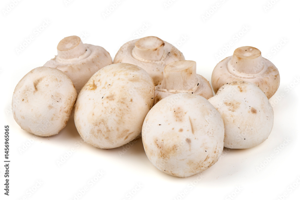 White champignons mushrooms, isolated on white background. White champignons mushrooms, isolated on white background.