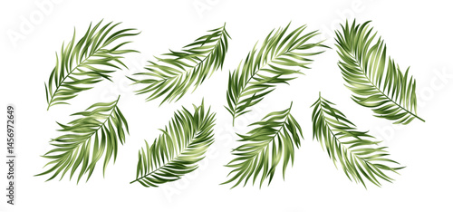 Vector Illustration Background Showing a Set of Green Tropical Palm Leaves Arranged Individually, Vibrant Colors and Detailed Design on a Clean White Backdrop for Natural-Themed Concepts