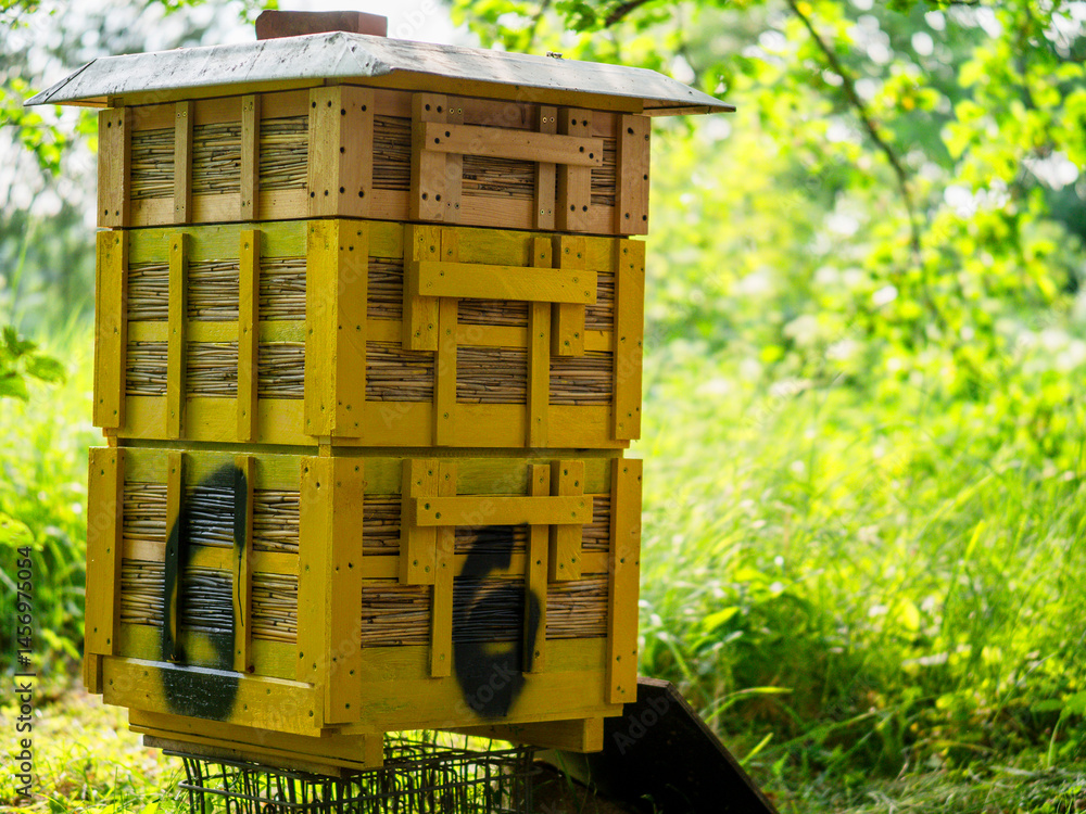 Yellow beehive in a shadow of bushes, bright sunny field in the background. Production of fine organic honey. Popular hobby and agriculture business.