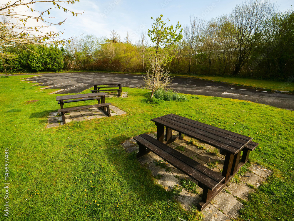 Picnic area with seats and tables in a forest park, warm sunny day. Nobody. Travel and tourism. The site is very clean and properly looked after.