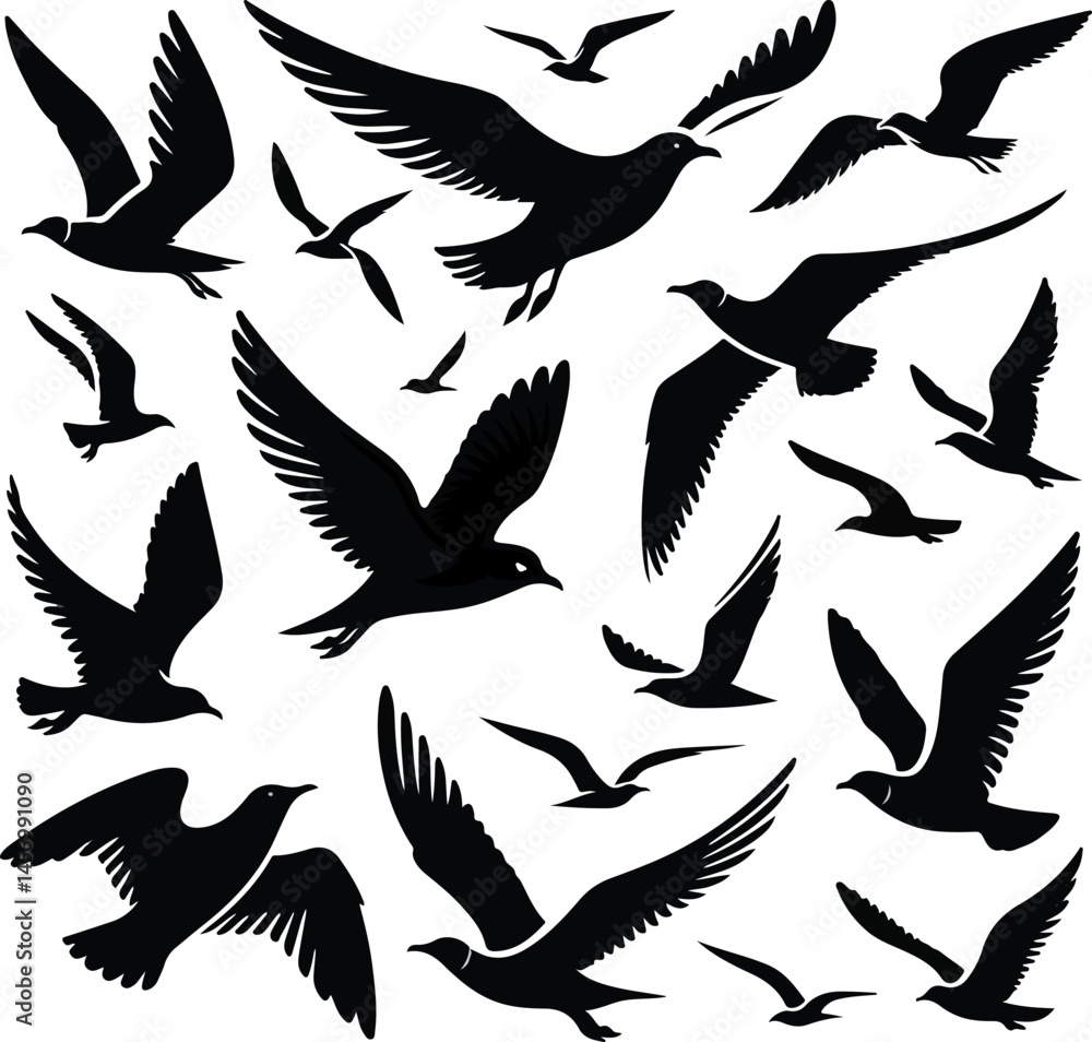 Fototapeta premium Set of seagull silhouette vectors