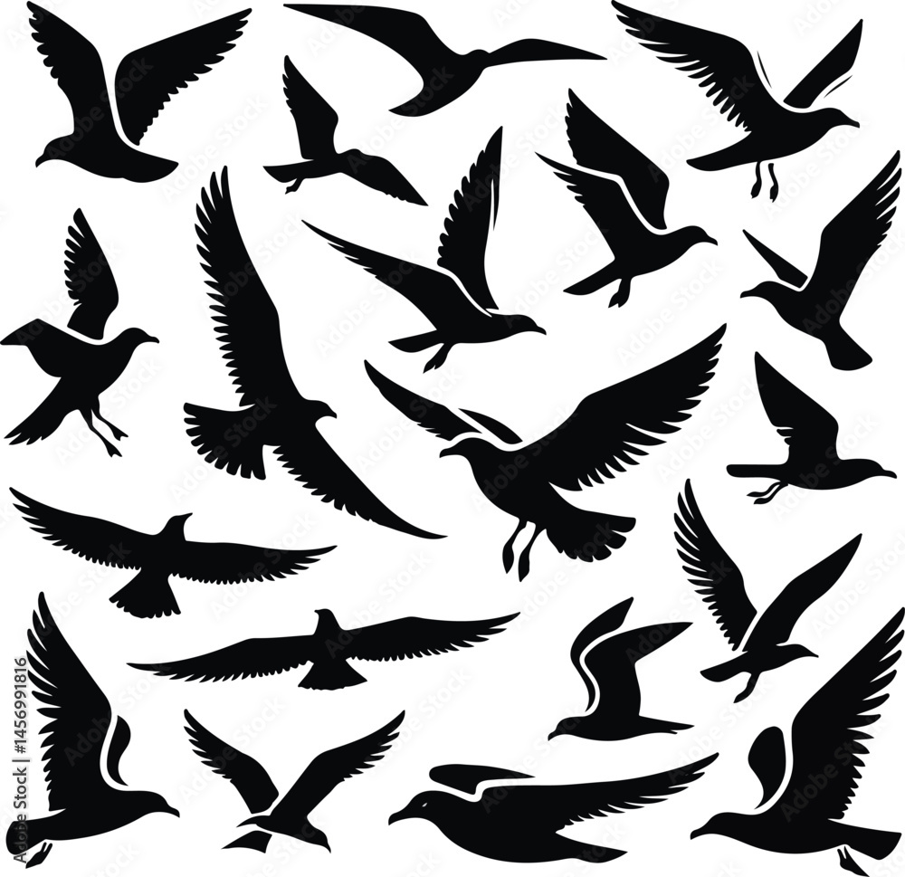 Obraz premium Set of seagull silhouette vectors