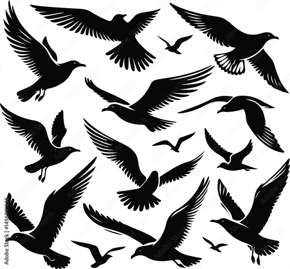 Obraz premium Set of seagull silhouette vectors