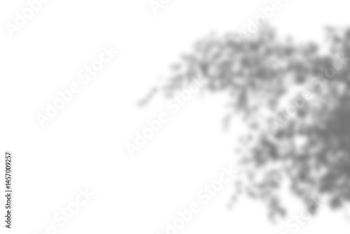 Leaf shadow overlay effect mock up creates natural and artistic look for your design with soft edges and realistic light play perfect for creative backgrounds or presentations