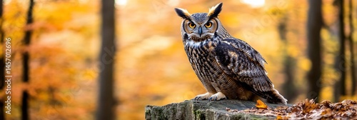 Obraz na płótnie Majestic owl perched on a tree stump in an autumnal forest. w salonie