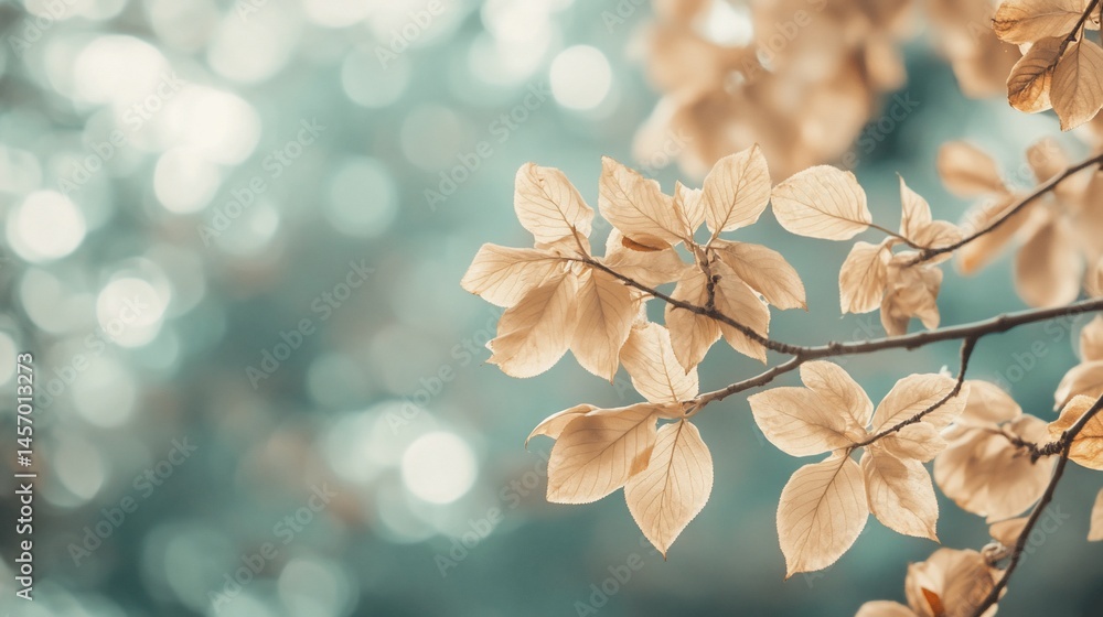 Pale yellow leaves on a branch, blurred background.