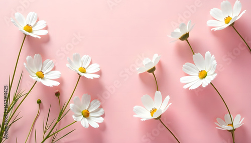 illustration of white jasmine flowers scattered on a pink background
