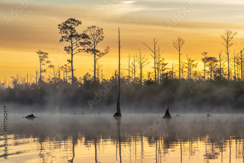 Misty Sunrise on the Alligator River