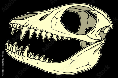 Detailed Illustration of a Prehistoric Dinosaur Skull