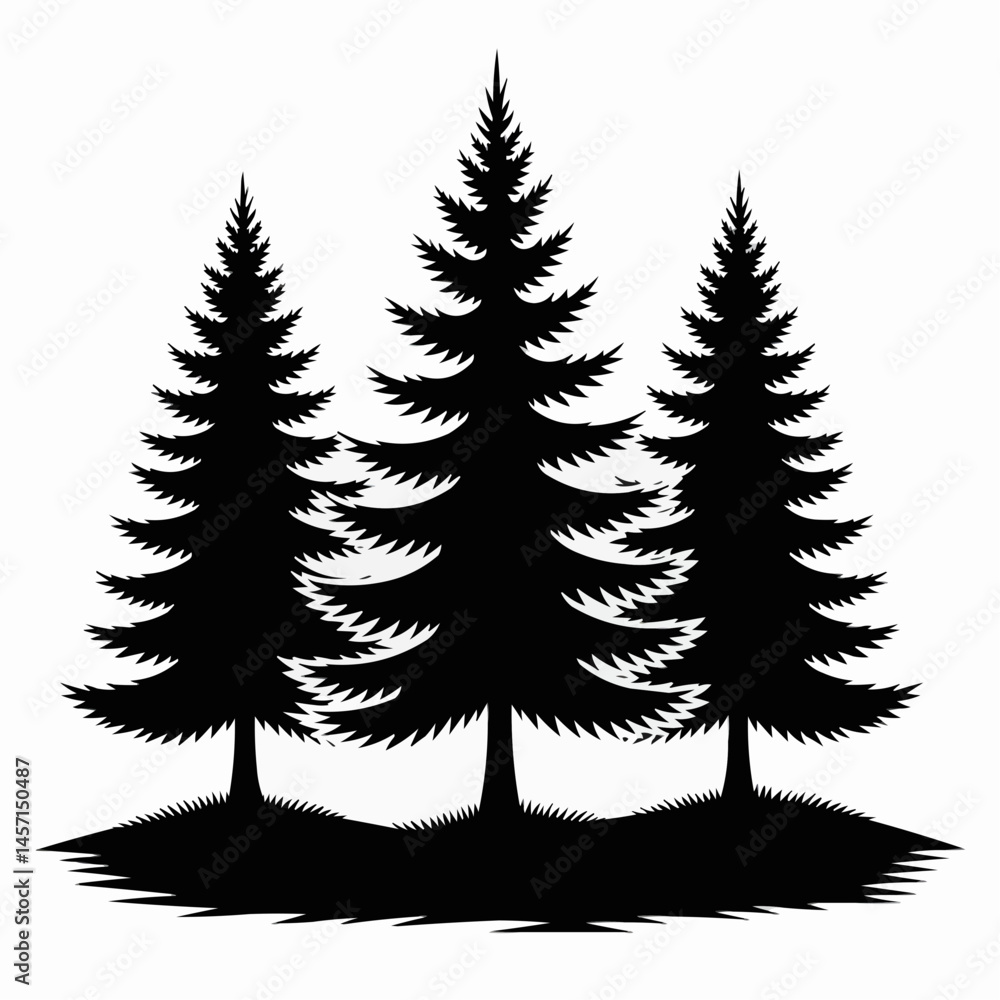 Obraz premium Three pine trees stand silhouetted on a hill