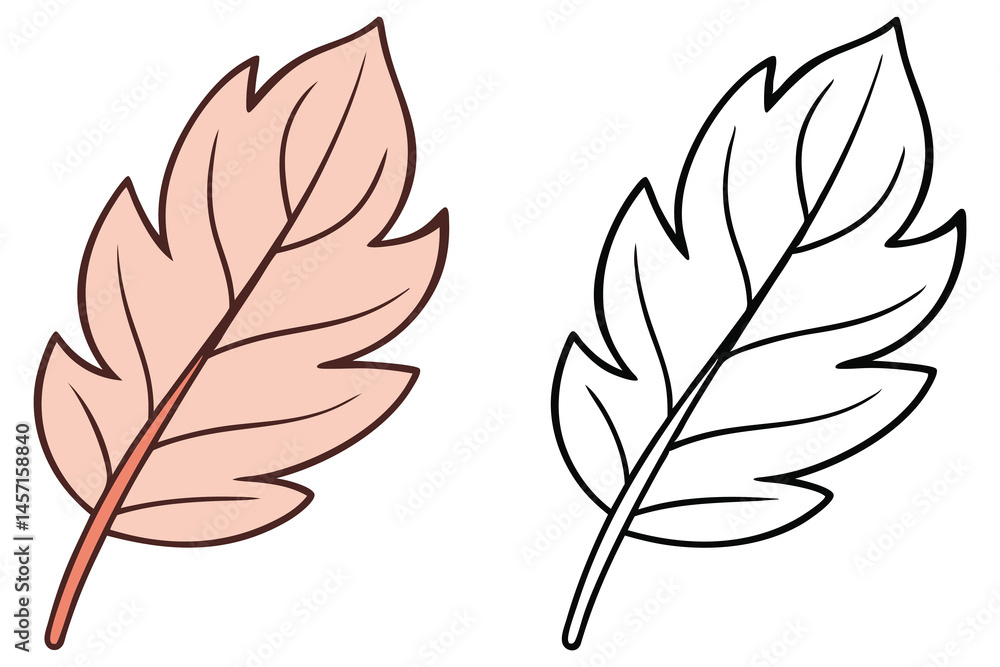 Fototapeta premium Delicate pink and black outline leaf with defined veins evokes natural simplicity on white