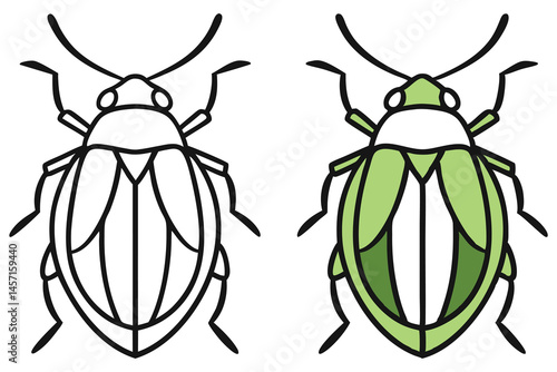 Two beetles show a simple line drawing and a light green color