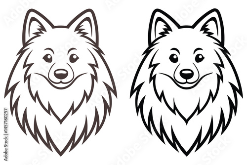 Two cute cartoon spitz dogs with fluffy fur stare ahead on a white background
