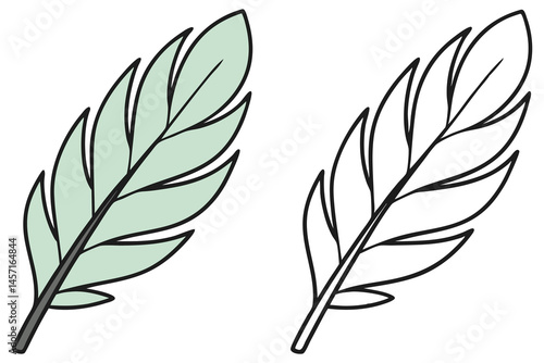 The light green feather outlined in black sits beside its line art version, against white