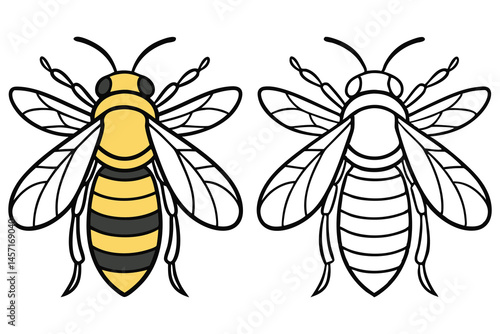 A cartoon bee is depicted in both a colored version and an outlined copy