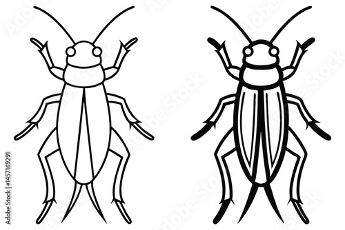 Two beetles face forward with thin and thick outlines on a transparent background