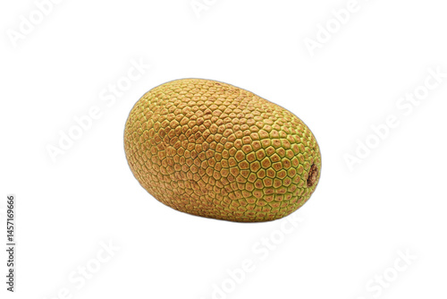Jackfruit, Breadfruit, or Cempedak: Tropical Yellow Fruit