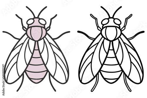 Two houseflies are shown, one is lilac, and one is line art with transparent background