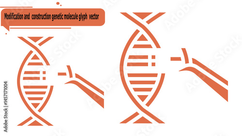 Modification and  construction genetic molecule glyph  vector