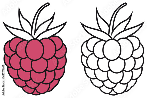 Simple raspberry showing in color and black outline with transparent background is cute