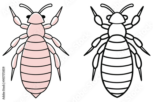 Two similar lice stand facing up one colored pink and one black outline