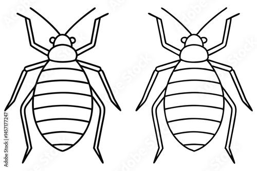 Two simple bedbug outlines face each other on a transparent background in black lines