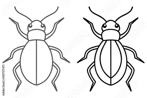 Two simple line art drawings display beetle bugs on white, showcasing insect outlines