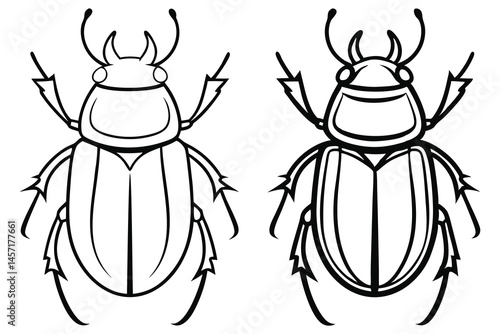 Two beetle insect outlines showcase distinct exoskeleton segments against a white background effectively