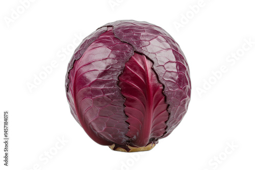 Pink and Purple Cabbage: Fresh Cruciferous Superfood