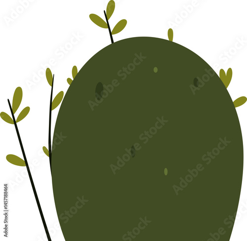 A green mound surrounded by sparse, young plant life. The dark background focuses attention on the central green form.