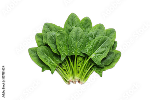 Fresh Spinach and Chard: Leafy Green Superfoods