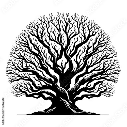 Black Tree Branch Silhouettes Bare Branch Vector Illustrations