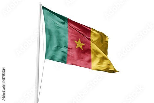 Cameroon flag 
