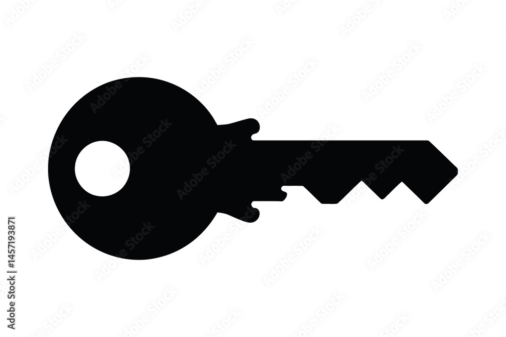 Black key vector graphic security access solution Black key vector graphic security access solution