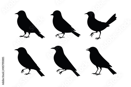 Wallpaper Mural Bird silhouettes set vector graphic illustration Torontodigital.ca