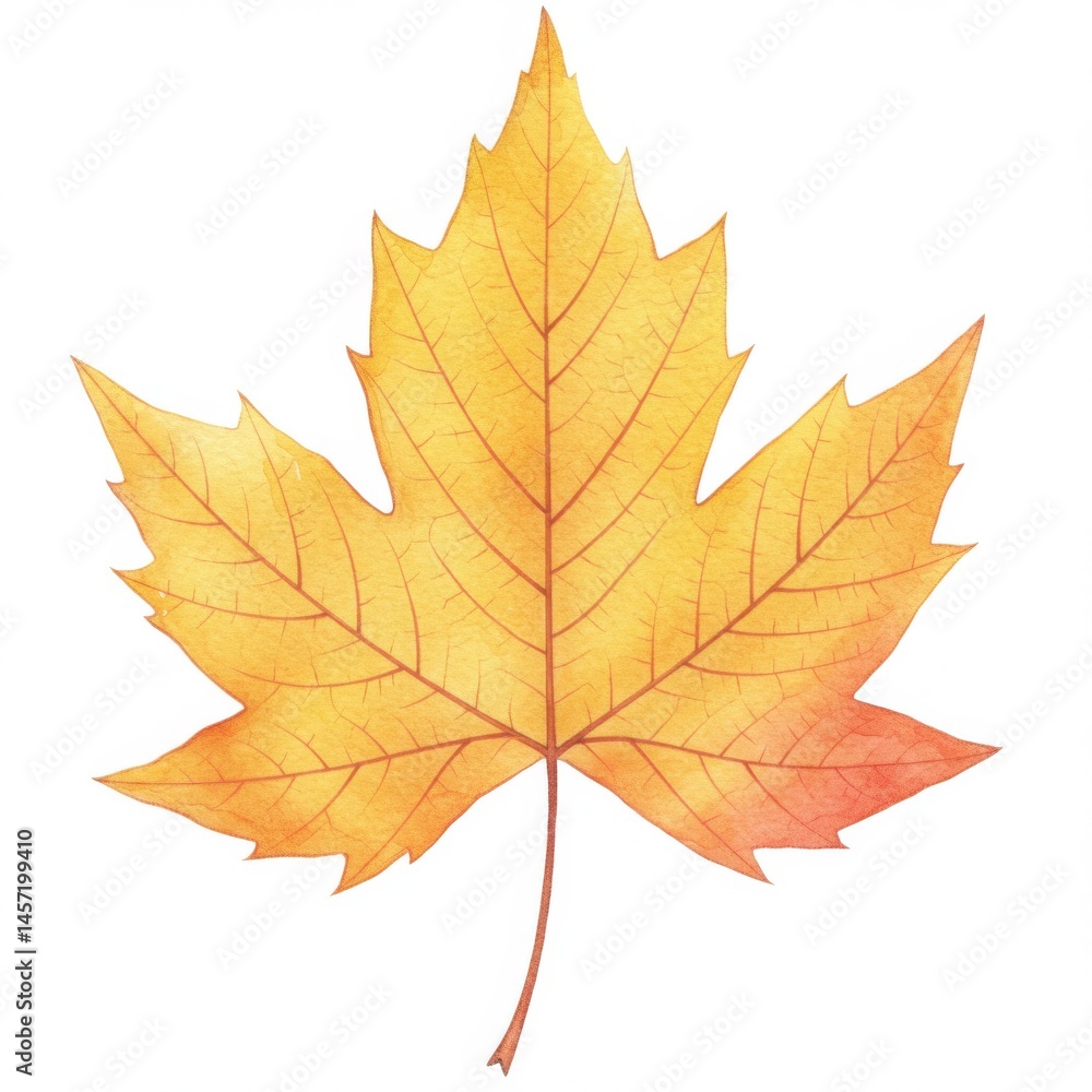 custom made wallpaper toronto digitalYellow Orange Maple Leaf Watercolor Painting