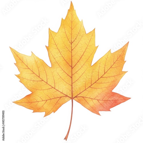 Wallpaper Mural Yellow Orange Maple Leaf Watercolor Painting Torontodigital.ca