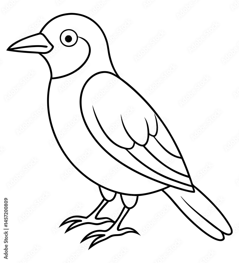 Obraz premium Bird Sketch