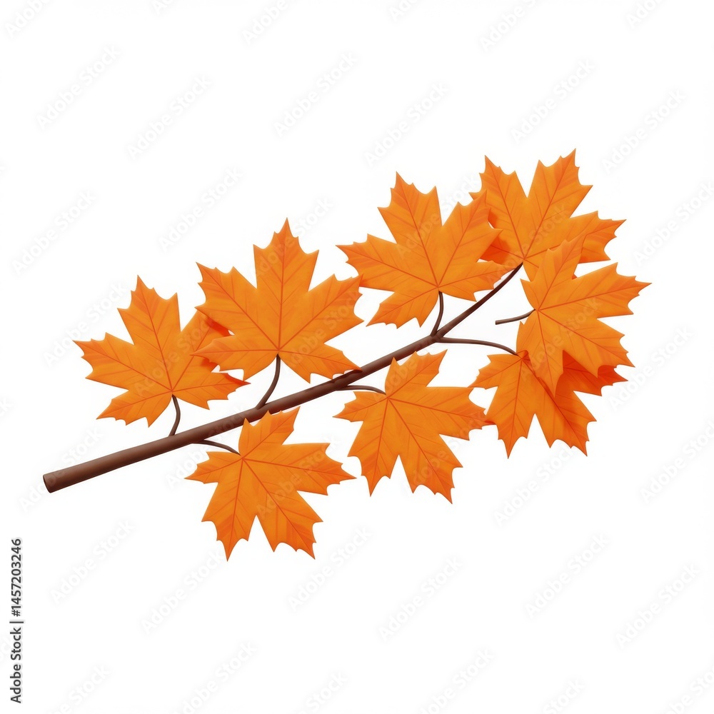 Orange Maple Leaf Branch on White Background Orange Maple Leaf Branch on White Background
