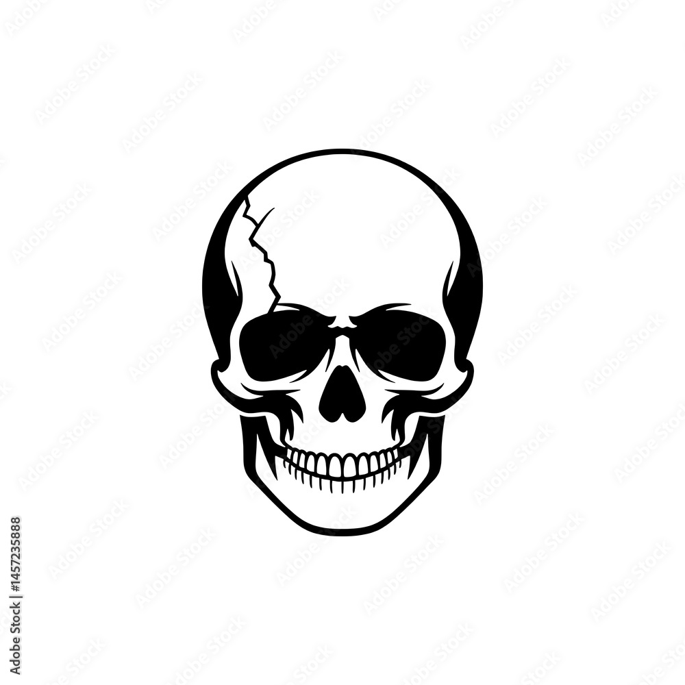 Fototapeta premium human skull