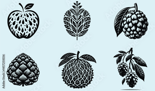 Black Silhouette of Annona Squamosa Sugar Apple Fruit with Clear Shape and Smooth Clean Design