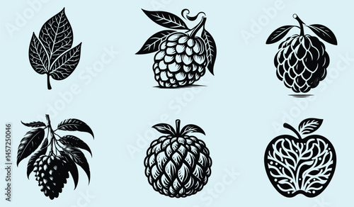 Black Silhouette of Annona Squamosa Sugar Apple Fruit with Clear Shape and Smooth Clean Design