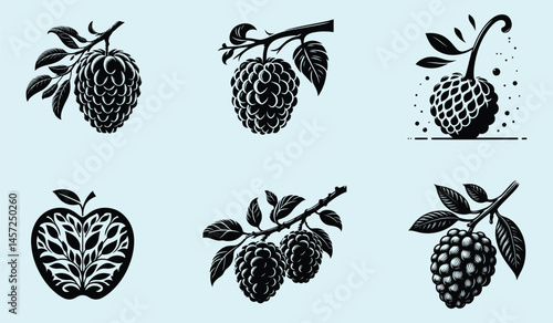 Black Silhouette of Annona Squamosa Sugar Apple Fruit with Clear Shape and Smooth Clean Design