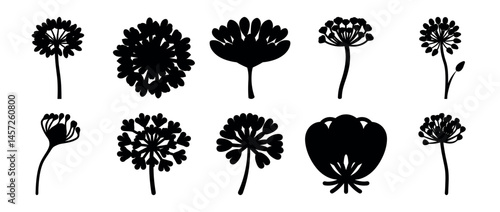 Botanical Set of Black Silhouette Floral Elements on White Background